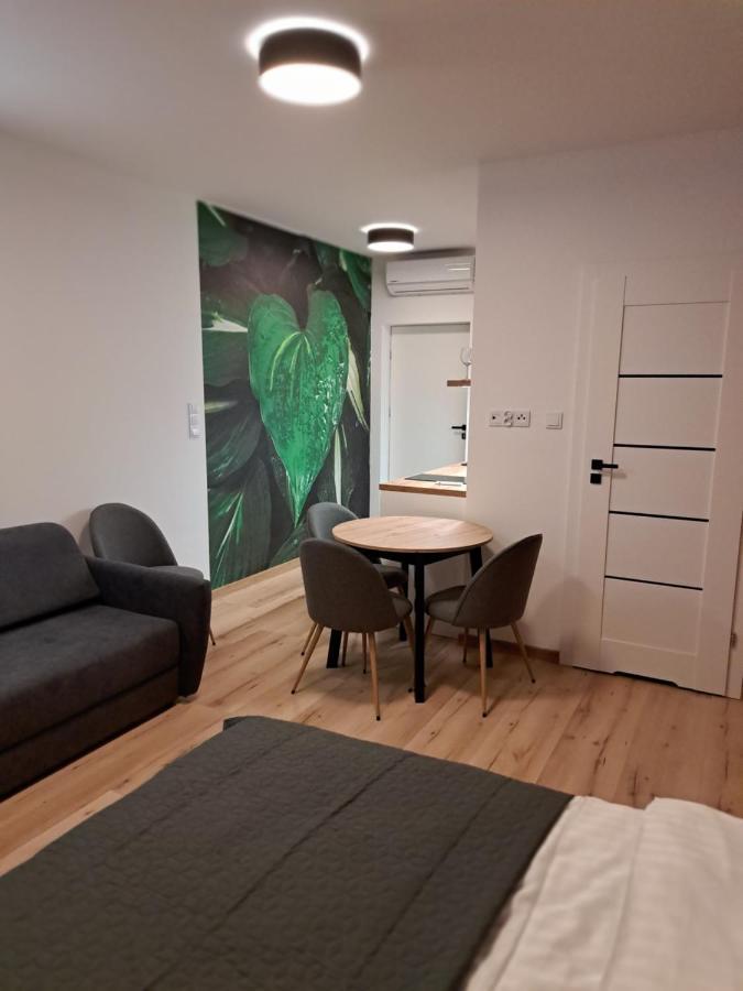 Apartamenty Zielony Lisc Ciechocinek Exterior photo
